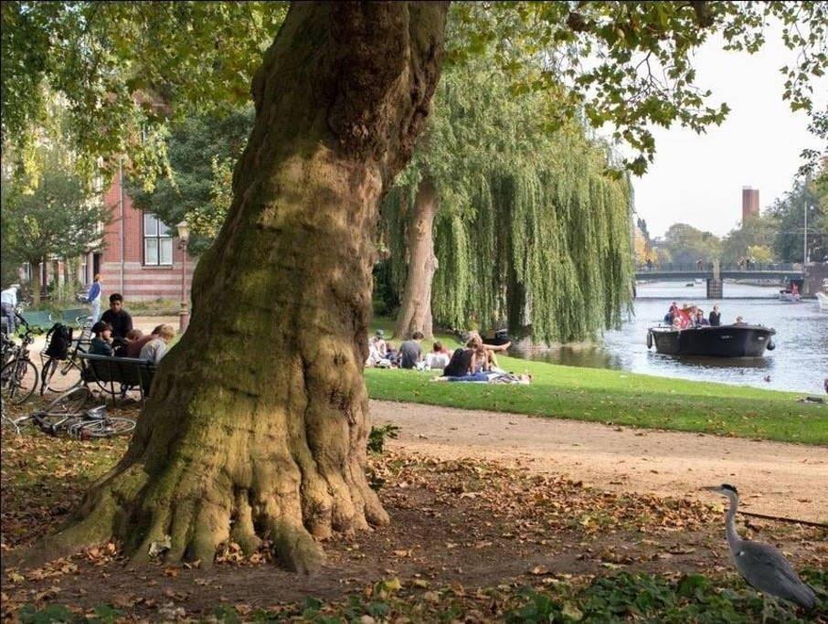 Perfect Apt - Heart Of Amsterdam Esterno foto